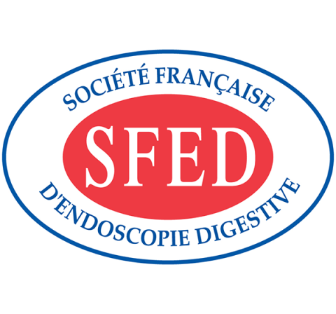 logo SFED